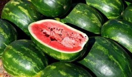 吃瓜网红视角图片高清,揭秘高清网红吃瓜瞬间